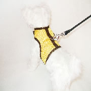 Yellow Athletic Harness
