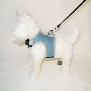Silver Jeans Dog Harness