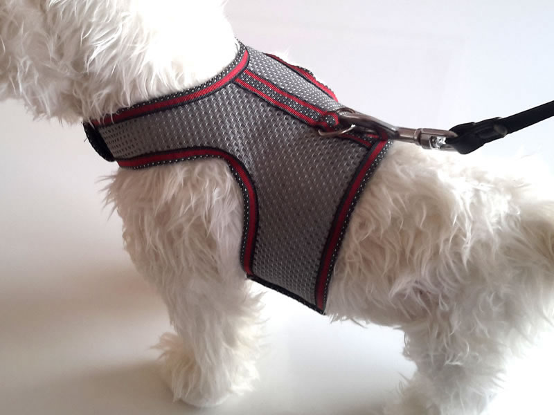 Dachshund / Dog bespoke Harness Silver Athletic Easy Walk Harness